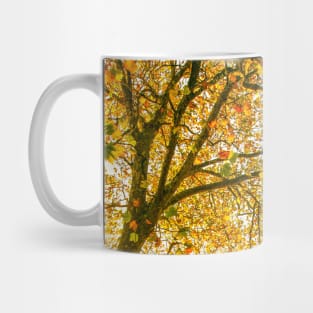 Autumn Leaves - Tree leaves changing colour Mug